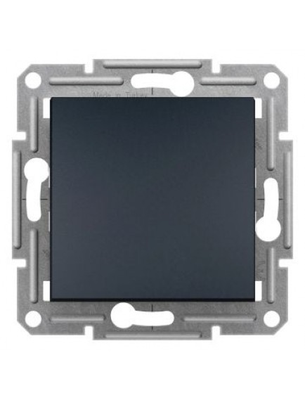 Schneider Asfora – Çift Kutuplu Anahtar – Antrasit