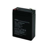 ttec 6vs 6V 2.8Ah Bakımsız Kuru Akü (TSS)