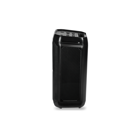 ttec Carnival 100W Taşınabilir Kablosuz Bluetooth Parti Hoparlörü