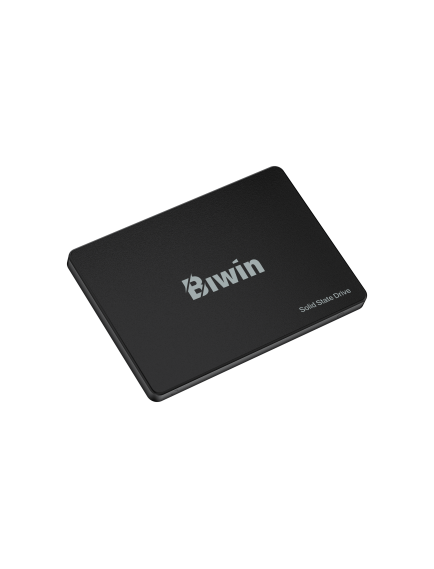 Biwin M100 256GB 2.5 inç SATA 3.0 SSD