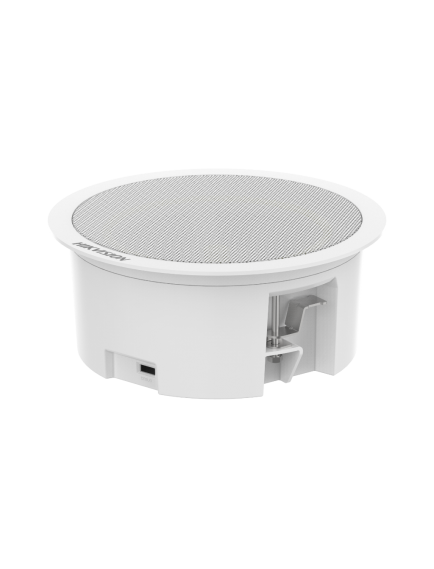 Hikvision DS-QAZ0206G1-S 6W Network Asma Tavan İkincil Hoparlörü