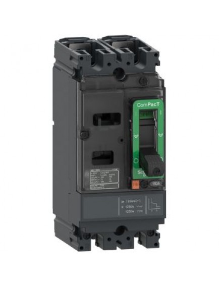 Schneider ComPacT Şalter NSX100F 18kA AC-DC 2P 80A TMD