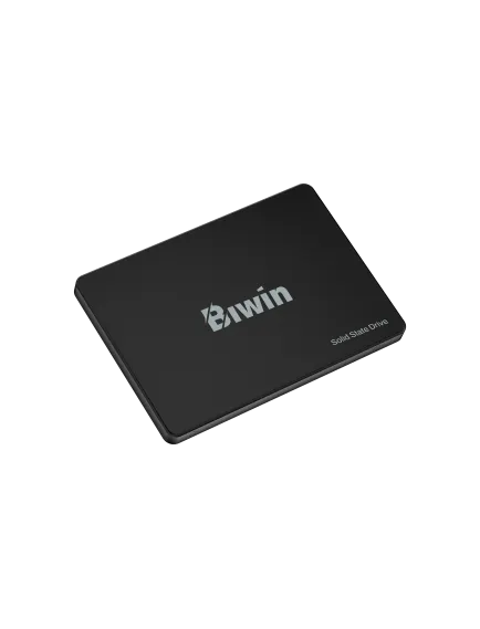Biwin M100 256GB 2.5 inç SATA 3.0 SSD